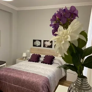 https://apartamento-venus.es-andalucia.com